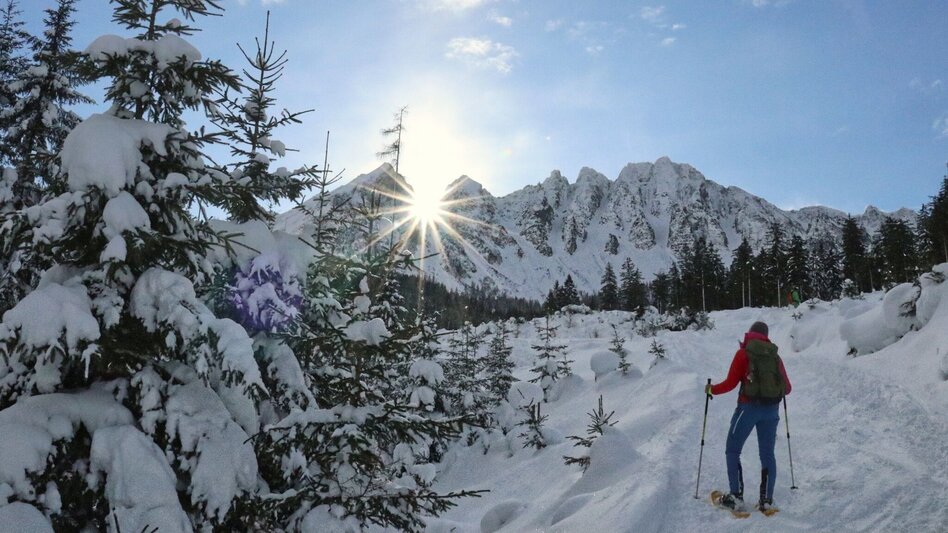 Schneeschuhwandern Mödringalm – markierter Schneeschuh-Trail im Triebental - Touren-Impression #2.9 | © Weges OG