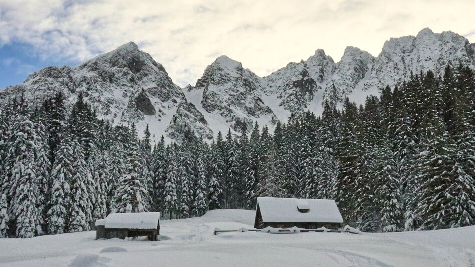 Schneeschuhwandern Mödringalm – markierter Schneeschuh-Trail im Triebental - Touren-Impression #2.1 | © Weges OG