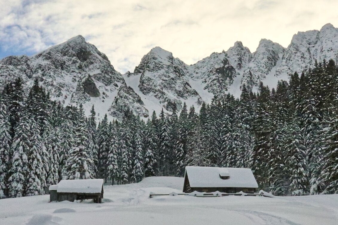 Schneeschuhwandern Mödringalm – markierter Schneeschuh-Trail im Triebental - Touren-Impression #1 | © Weges OG