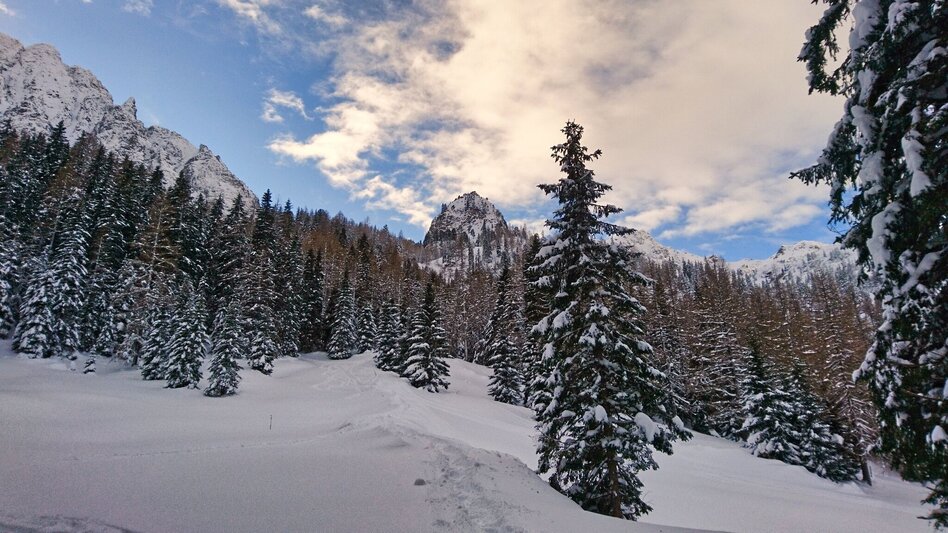 Schneeschuhwandern Mödringalm – markierter Schneeschuh-Trail im Triebental - Touren-Impression #2.13 | © Weges OG