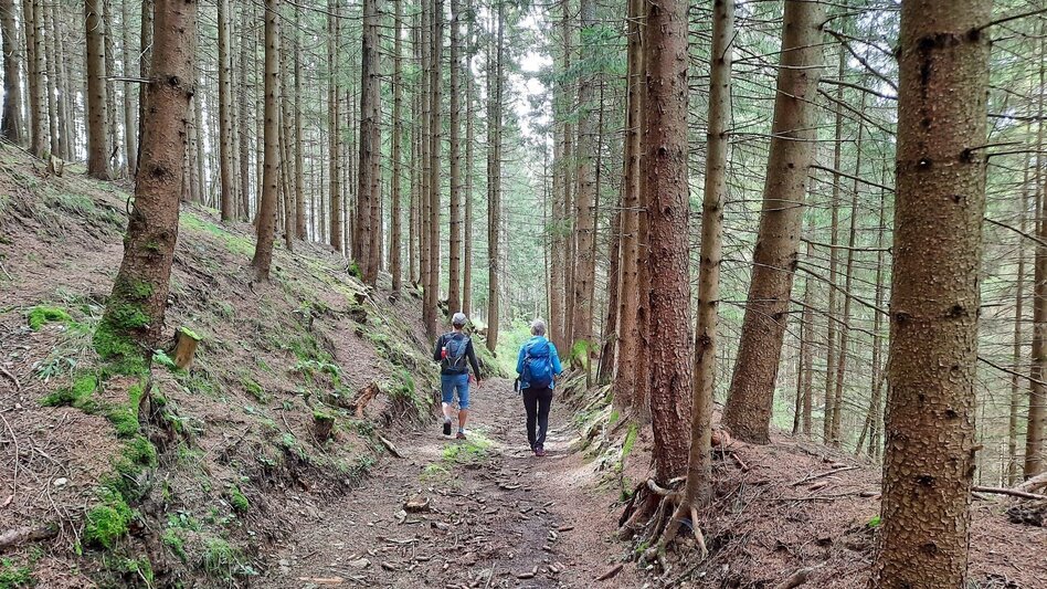 Wanderung Steinplan über Sonnseite - Touren-Impression #2.4 | © WEGES OG
