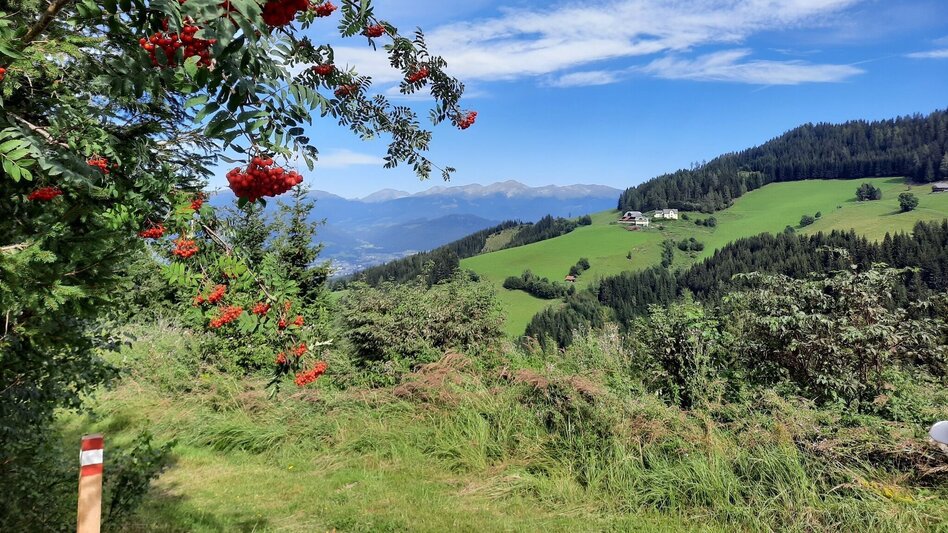 Wanderung Steinplan über Sonnseite - Touren-Impression #2.1 | © WEGES OG
