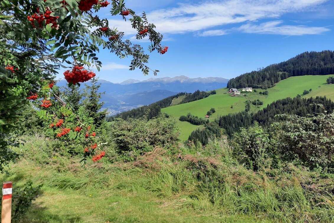 Wanderung Steinplan über Sonnseite - Touren-Impression #1 | © WEGES OG