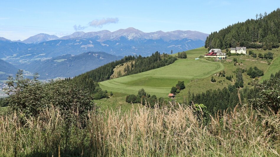 Wanderung Steinplan über Sonnseite - Touren-Impression #2.6 | © WEGES OG
