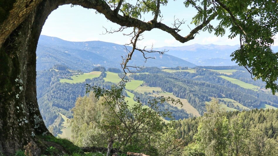 Wanderung Steinplan über Sonnseite - Touren-Impression #2.7 | © WEGES OG