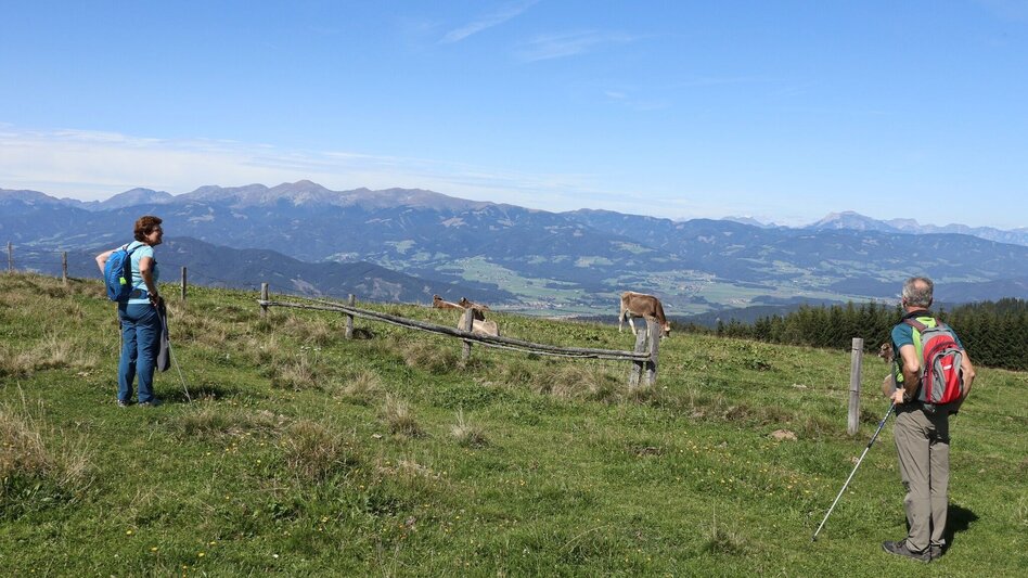 Wanderung Steinplan über Sonnseite - Touren-Impression #2.10 | © WEGES OG