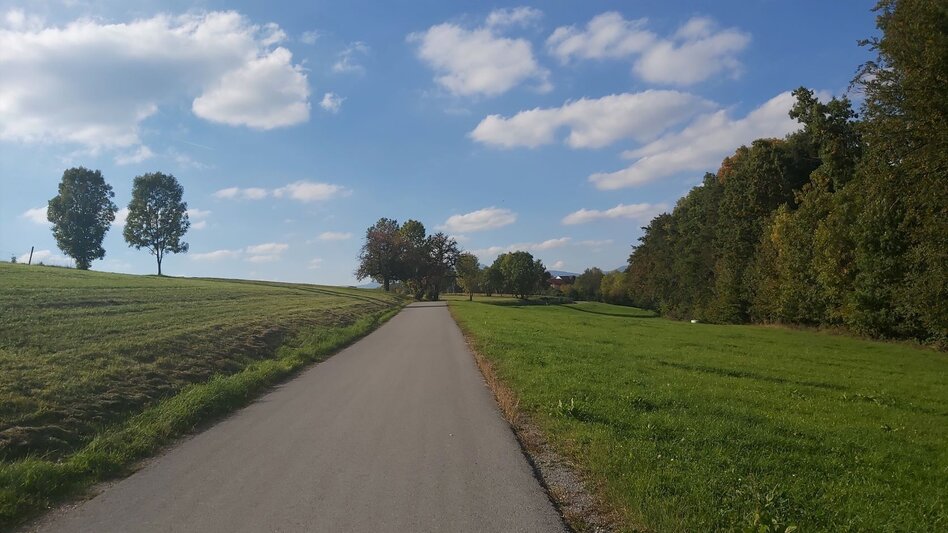 Cycling Panoramic tour, St. Ruprecht an der Raab - Weiz - Touren-Impression #2.5 | © Oststeiermark Tourismus