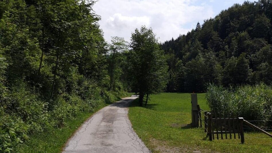 Wanderung Landler Spazierweg #4 Krautgrabenrunde - Touren-Impression #2.9 | © TV Gesäuse