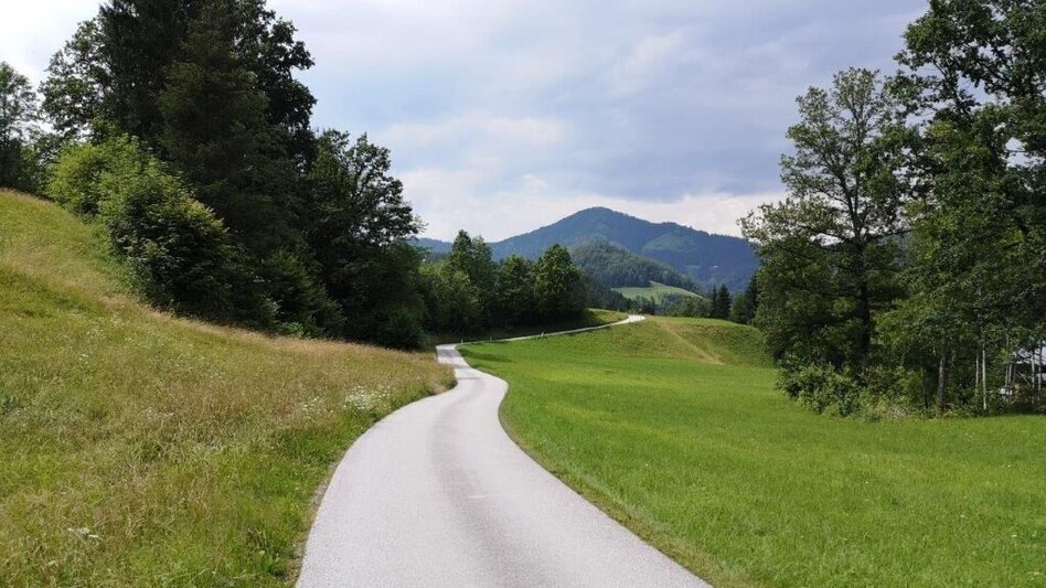 Wanderung Landler Spazierweg #4 Krautgrabenrunde - Touren-Impression #2.12 | © TV Gesäuse