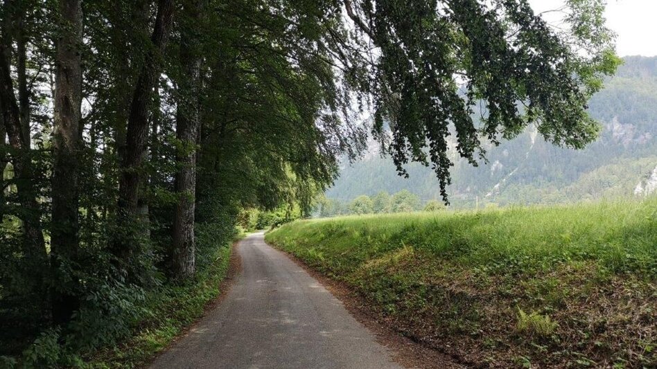 Wanderung Landler Spazierweg #6 Dörflrunde - Touren-Impression #2.4 | © TV Gesäuse