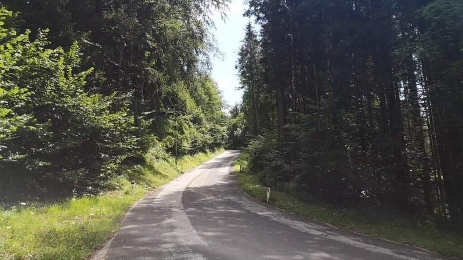Wanderung Landler Spazierweg #6 Dörflrunde - Touren-Impression #2.5 | © TV Gesäuse