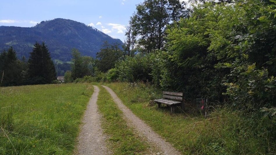 Wanderung Landler Spazierweg #6 Dörflrunde - Touren-Impression #2.8 | © TV Gesäuse