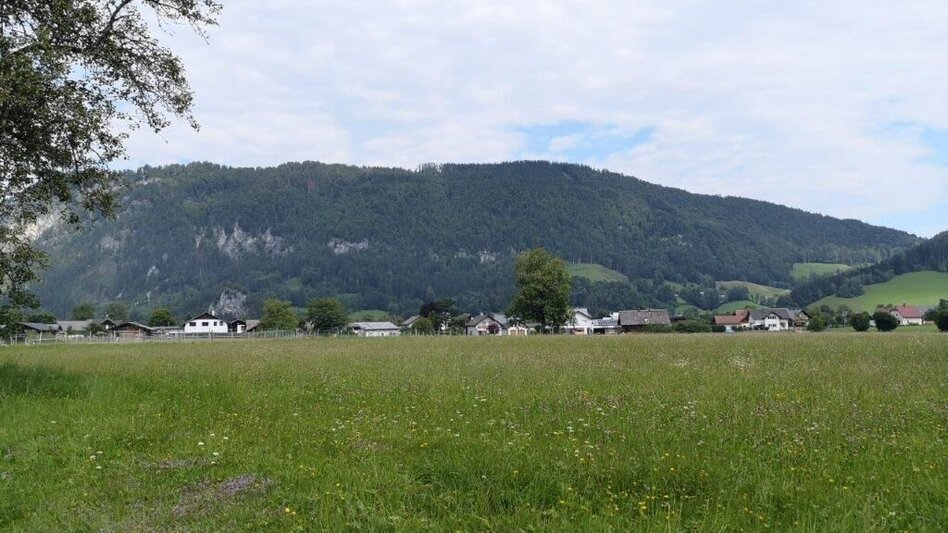 Wanderung Landler Spazierweg #6 Dörflrunde - Touren-Impression #2.9 | © TV Gesäuse