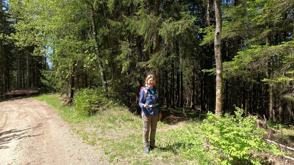 Wanderung Steinplan vom Lobmingtal über Kalchbauer - Touren-Impression #2.3 | © WEGES OG