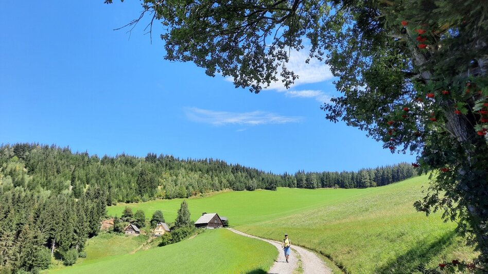 Wanderung Steinplan vom Lobmingtal über Kalchbauer - Touren-Impression #2.1 | © WEGES OG