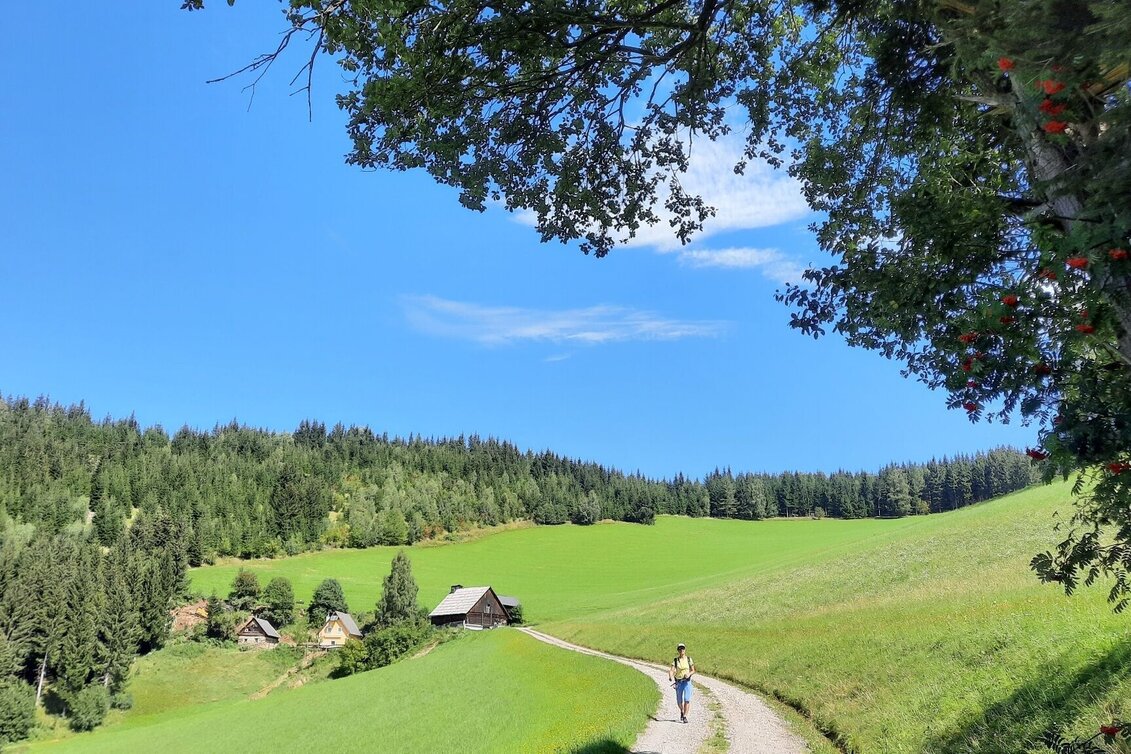 Wanderung Steinplan vom Lobmingtal über Kalchbauer - Touren-Impression #1 | © WEGES OG
