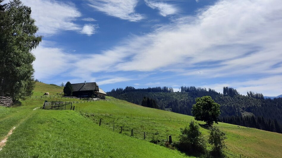 Wanderung Steinplan vom Lobmingtal über Kalchbauer - Touren-Impression #2.6 | © WEGES OG
