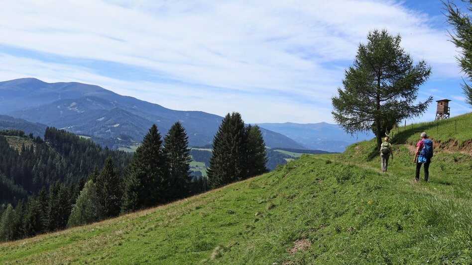 Wanderung Steinplan vom Lobmingtal über Kalchbauer - Touren-Impression #2.7 | © WEGES OG
