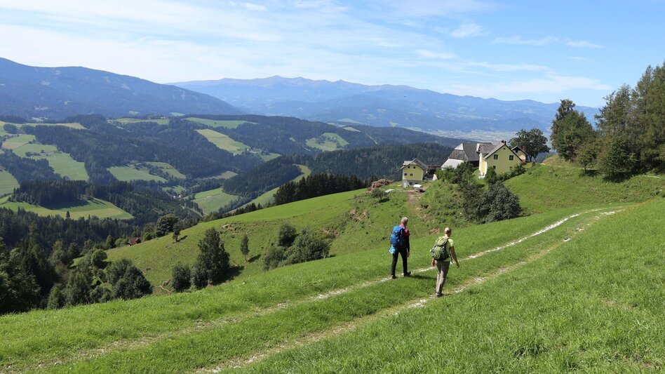 Wanderung Steinplan vom Lobmingtal über Kalchbauer - Touren-Impression #2.9 | © WEGES OG