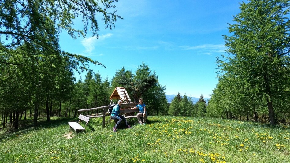 Hiking Route Lobmingtaler Höhenweg - A long-distance hike from Großlobming to Kleinlobming - Touren-Impression #2.3 | © WEGES OG