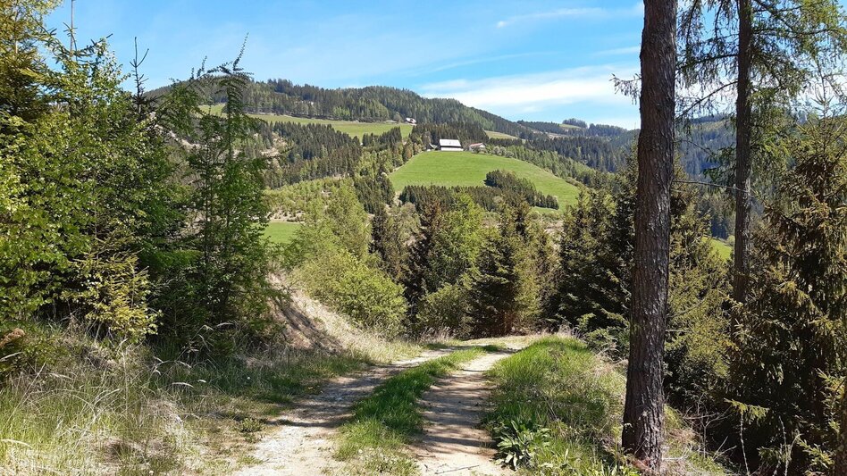 Hiking Route Lobmingtaler Höhenweg - A long-distance hike from Großlobming to Kleinlobming - Touren-Impression #2.4 | © WEGES OG