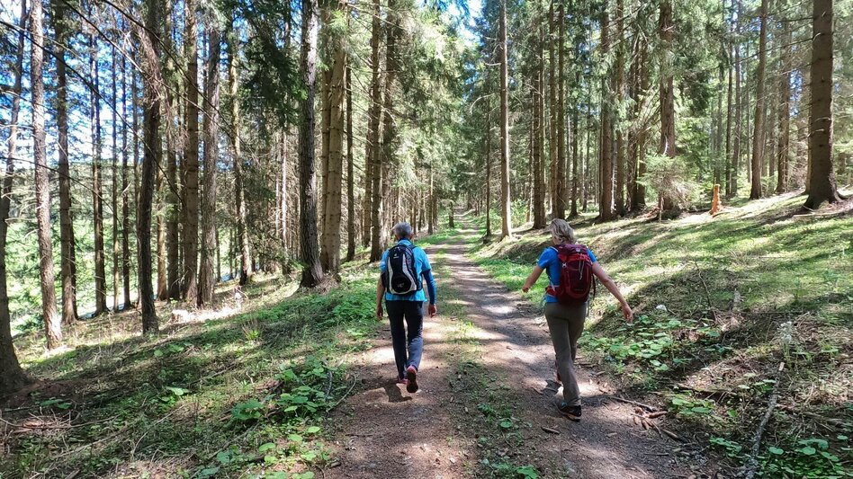 Hiking Route Lobmingtaler Höhenweg - A long-distance hike from Großlobming to Kleinlobming - Touren-Impression #2.9 | © WEGES OG