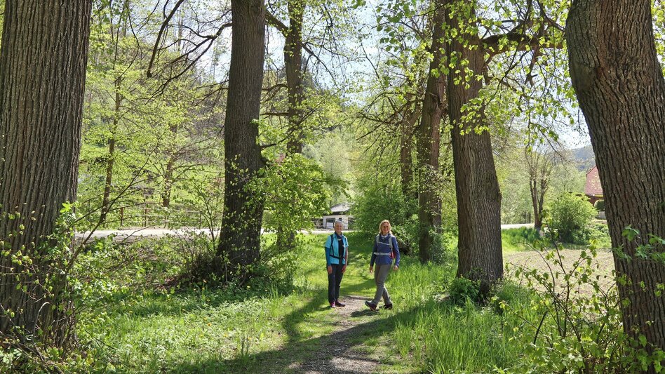 Wanderung Jägerkreuz am Lobmingtaler-Rosenkogel - Touren-Impression #2.2 | © WEGES OG