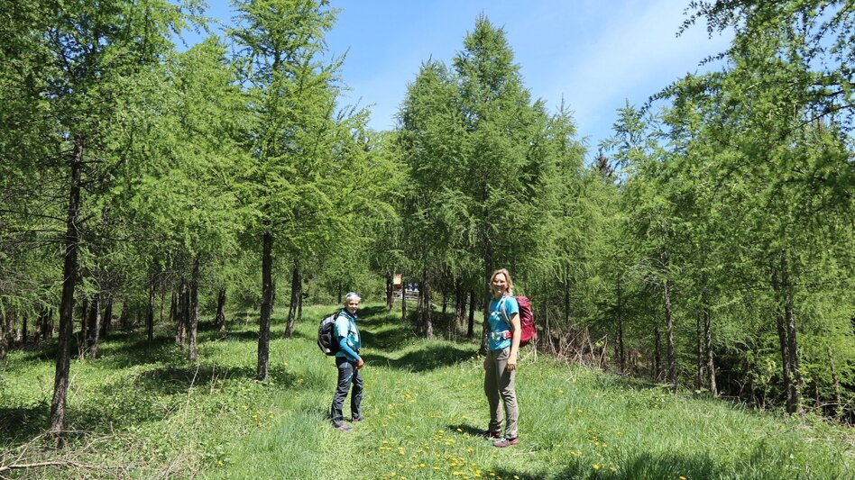 Wanderung Jägerkreuz am Lobmingtaler-Rosenkogel - Touren-Impression #2.8 | © WEGES OG