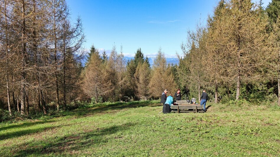 Wanderung Jägerkreuz am Lobmingtaler-Rosenkogel - Touren-Impression #2.10 | © WEGES OG