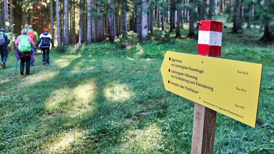 Wanderung Jägerkreuz am Lobmingtaler-Rosenkogel - Touren-Impression #2.6 | © WEGES OG