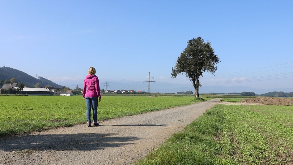 Wanderung Feldrundweg Großlobming - Touren-Impression #2.4 | © WEGES OG