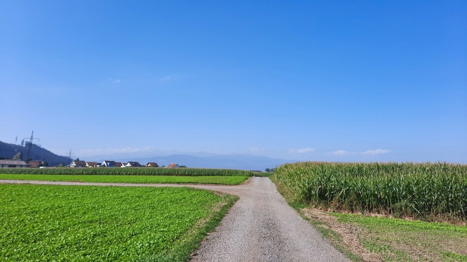 Wanderung Feldrundweg Großlobming - Touren-Impression #2.6 | © WEGES OG