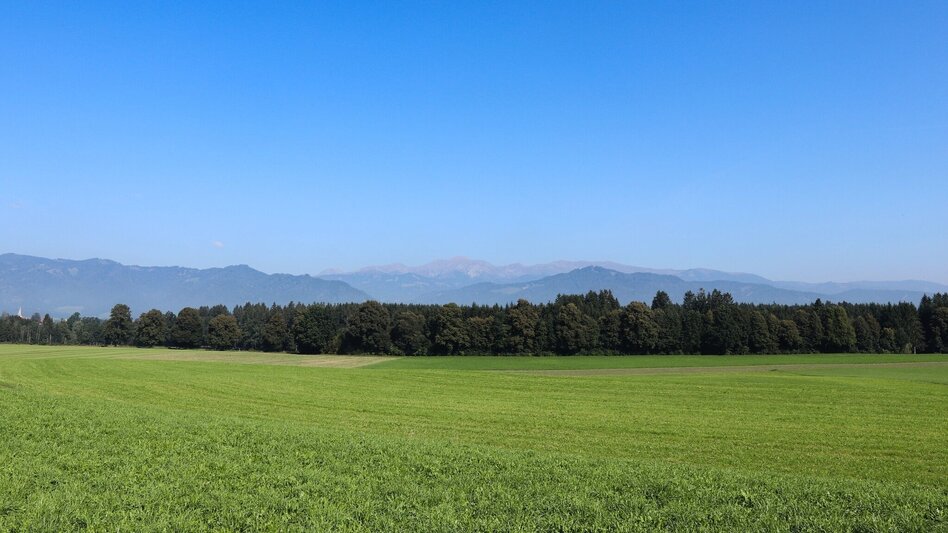 Wanderung Feldrundweg Großlobming - Touren-Impression #2.7 | © WEGES OG