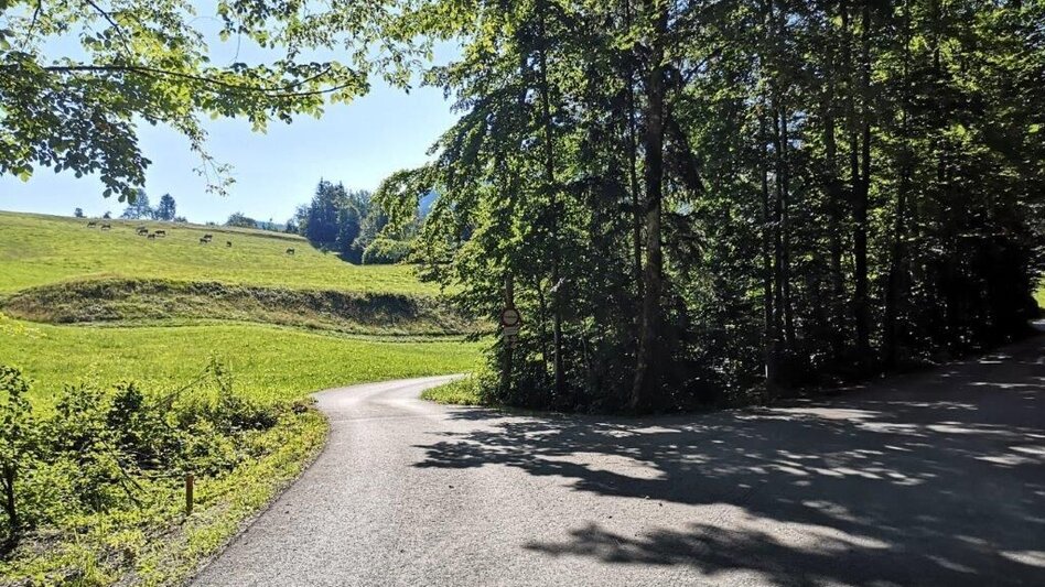 Wanderung Landler Spazierweg #8 Sulzarunde - Touren-Impression #2.1 | © TV Gesäuse