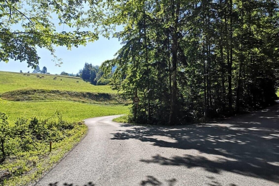 Wanderung Landler Spazierweg #8 Sulzarunde - Touren-Impression #1 | © TV Gesäuse