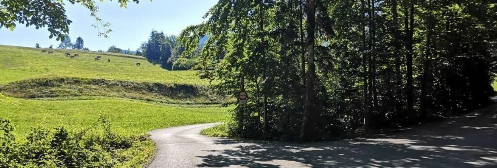 Hiking route Landler Country walk #6 - Touren-Impression #1 | © TV Gesäuse