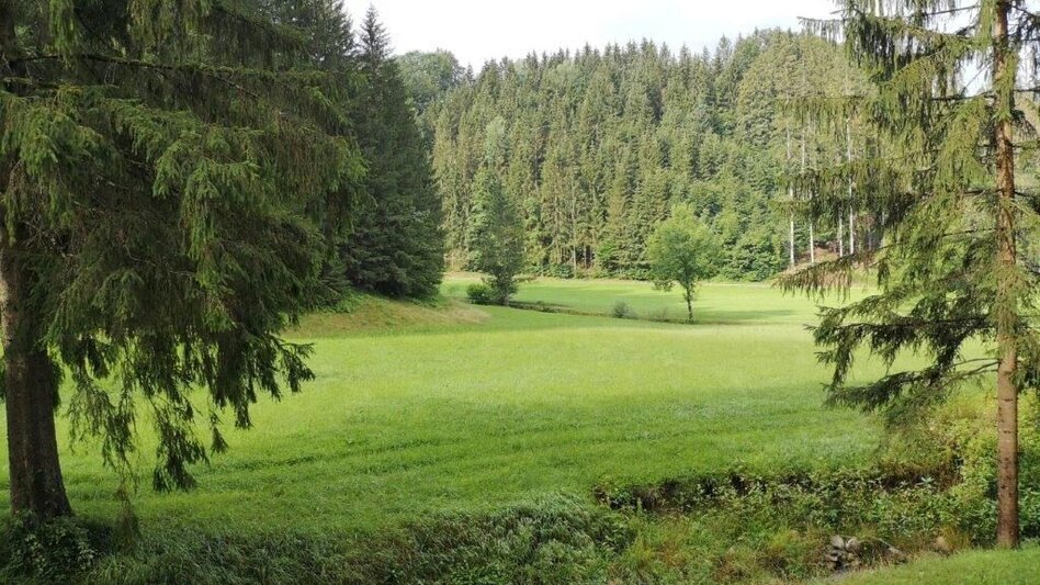 Wanderung Landler Spazierweg #8 Sulzarunde - Touren-Impression #2.11 | © TV Gesäuse