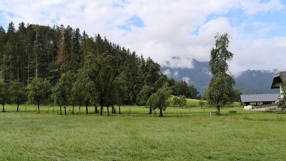 Wanderung Landler Spazierweg #8 Sulzarunde - Touren-Impression #2.13 | © TV Gesäuse