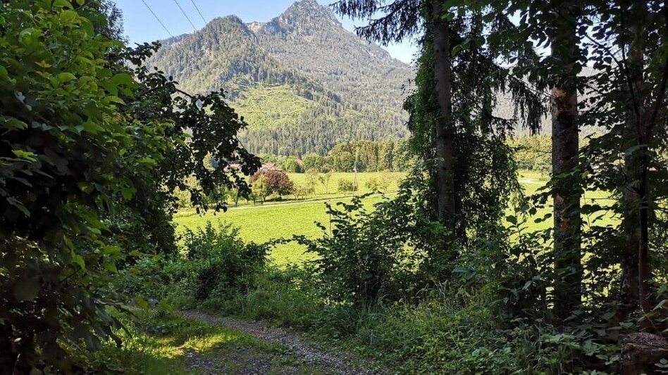 Wanderung Landler Spazierweg #9 Wieden-Hafnerboden - Touren-Impression #2.8 | © TV Gesäuse