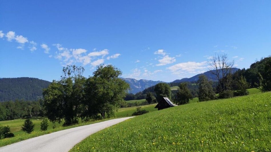 Wanderung Landler Spazierweg #9 Wieden-Hafnerboden - Touren-Impression #2.11 | © TV Gesäuse