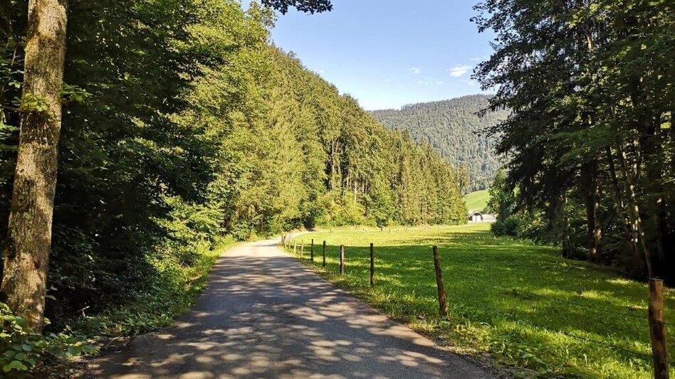 Wanderung Landler Spazierweg #9 Wieden-Hafnerboden - Touren-Impression #2.12 | © TV Gesäuse
