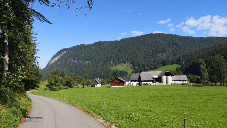 Wanderung Landler Spazierweg #9 Wieden-Hafnerboden - Touren-Impression #2.13 | © TV Gesäuse
