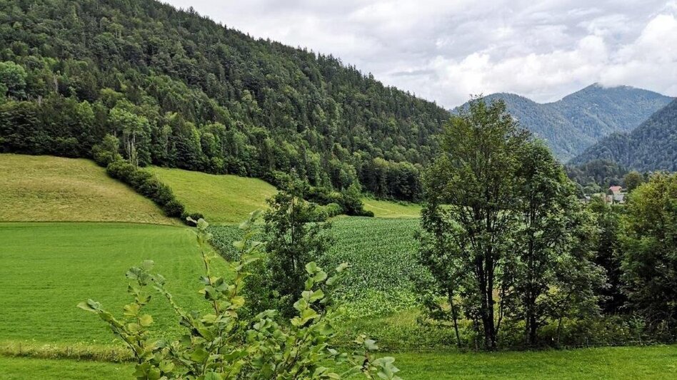 Wanderung Landler Spazierweg #10 Übergang- von Kirchenlandl bis ins Erb - Touren-Impression #2.2 | © TV Gesäuse