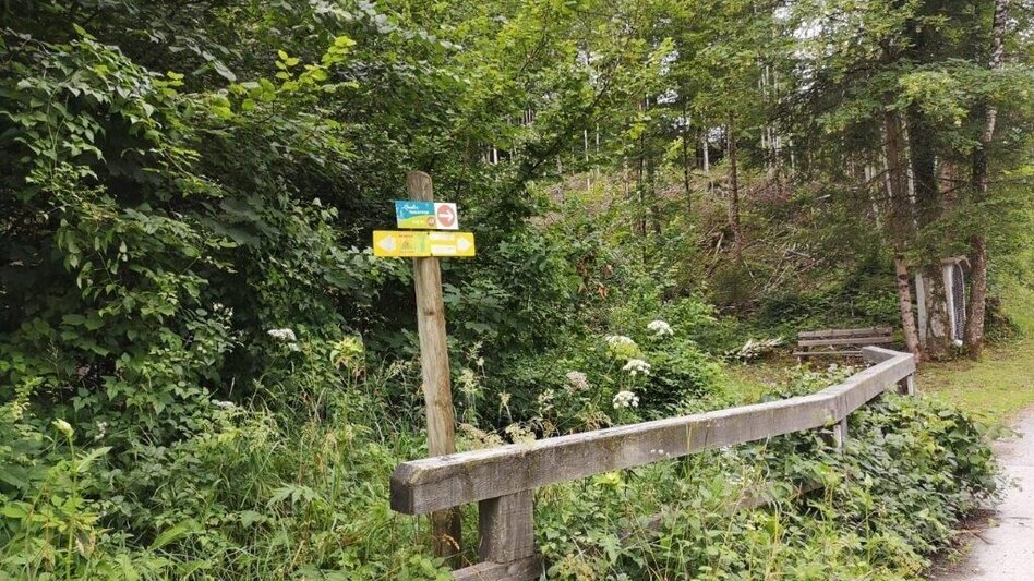 Wanderung Landler Spazierweg #10 Übergang- von Kirchenlandl bis ins Erb - Touren-Impression #2.4 | © TV Gesäuse