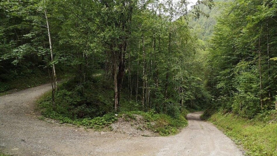 Wanderung Landler Spazierweg #10 Übergang- von Kirchenlandl bis ins Erb - Touren-Impression #2.11 | © TV Gesäuse