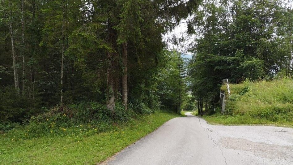 Wanderung Landler Spazierweg #10 Übergang- von Kirchenlandl bis ins Erb - Touren-Impression #2.13 | © TV Gesäuse