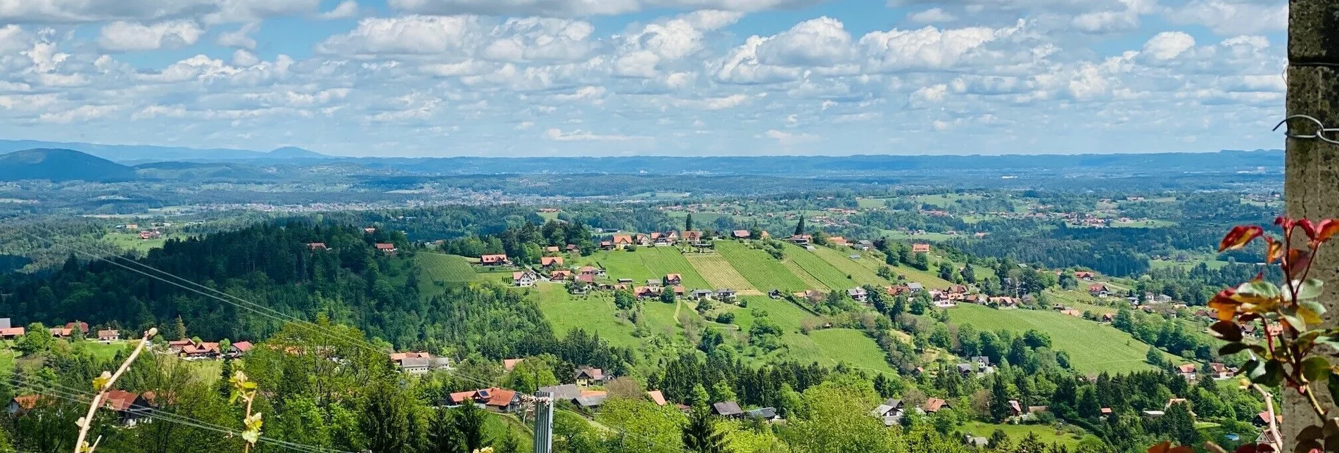 Wanderung Großer St. Stefan Rundweg – Tour 58 lt. WK „Von der Alm zum Wein“ - Touren-Impression #1 | © Schilcherland Steiermark
