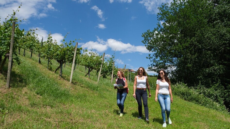 Hiking Route Vineyard adventure trail S10+GS - Touren-Impression #2.1 | © TVB Südsteiermark/Markus Trinkel