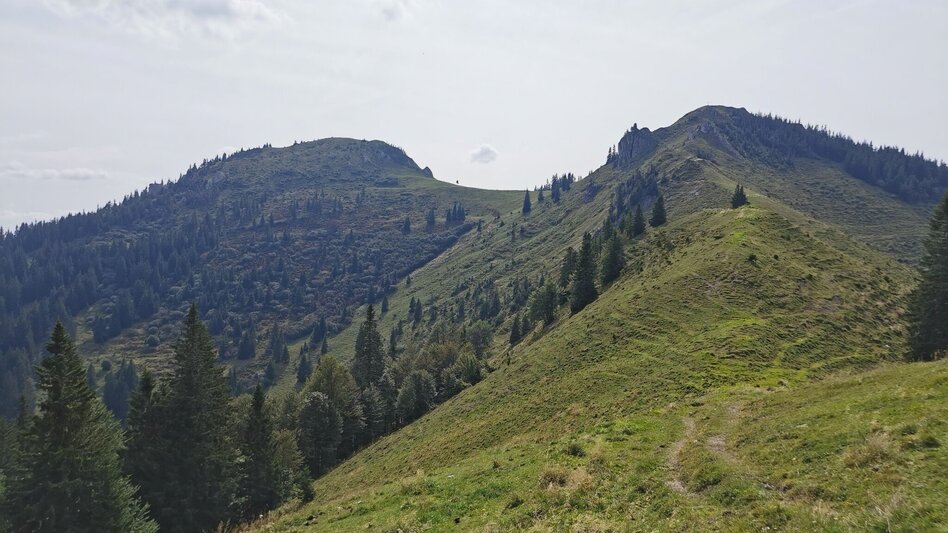 Wanderung Auf Proles und Königskogel im Naturpark Mürzer Oberland - Touren-Impression #2.3 | © TV Hochsteiermark