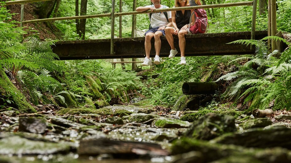 Hiking Route Adventure hill-circuit with bear pit, Friedberg - Touren-Impression #2.1 | © Oststeiermark Tourismus